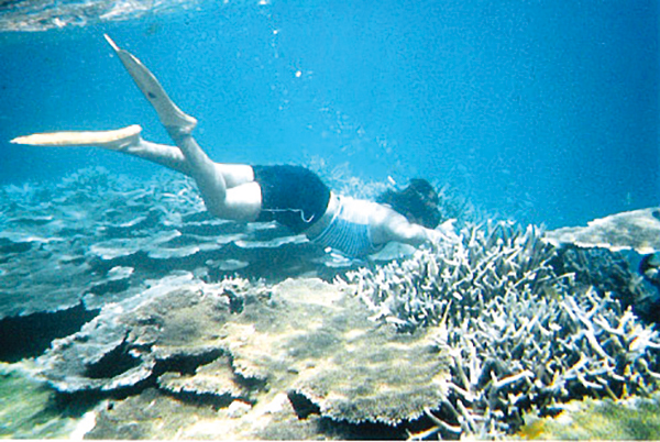 島漁丸 石垣島の観光ガイド 石垣島ねっと